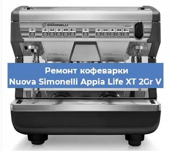 Чистка кофемашины Nuova Simonelli Appia Life XT 2Gr V от кофейных масел в Красноярске